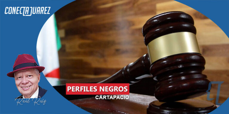 PERFILES NEGROS