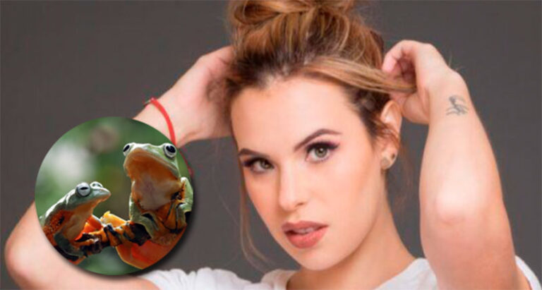 Veneno de rana mata a actriz durante retiro