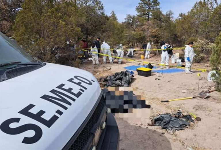 Trabaja Fiscalía en la identificación de los cuerpos localizados en fosas clandestinas en “El Willi”, municipio de Casas Grandes
