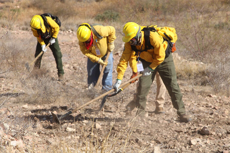Inicia capacitación del Programa Manejo del Fuego 2025 dirigida a brigadistas y voluntarios
