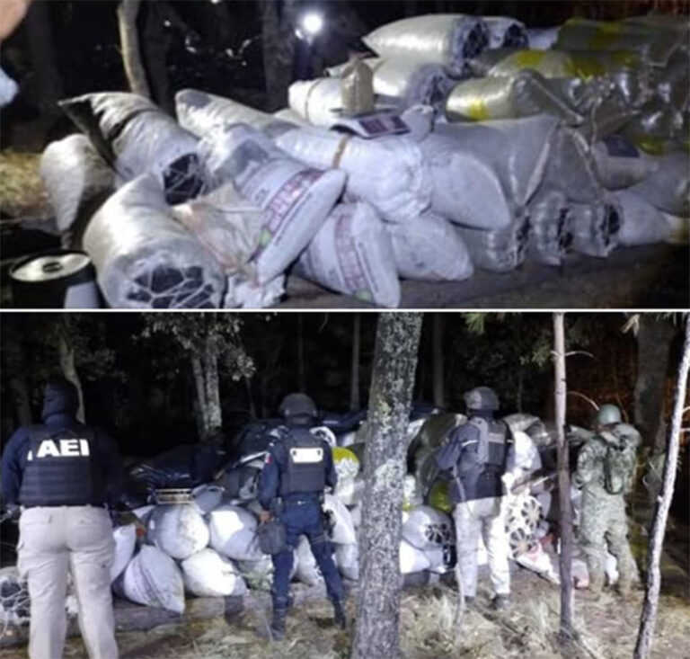 Asegura Policía del Estado 117 costales de supuesta droga tras desarticulación de campamento en NCG