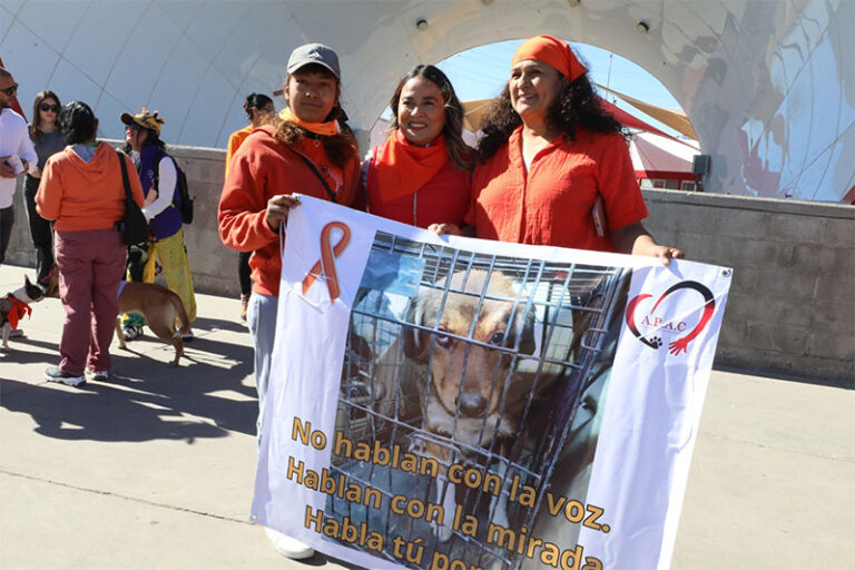 Siguen trabajando de manera coordinada DABA y PROFEPA