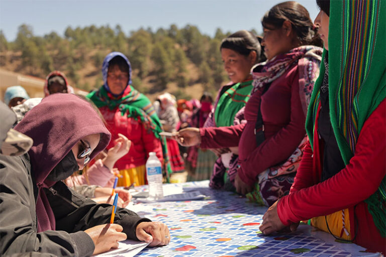 Entrega Gobierno del Estado 24 toneladas de alimento a 1,600 familias de Balleza