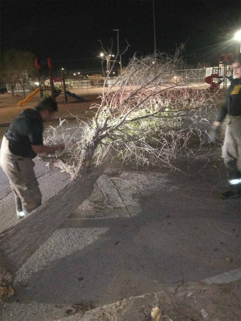 Protección Civil atiende incidentes causados por fuertes vientos