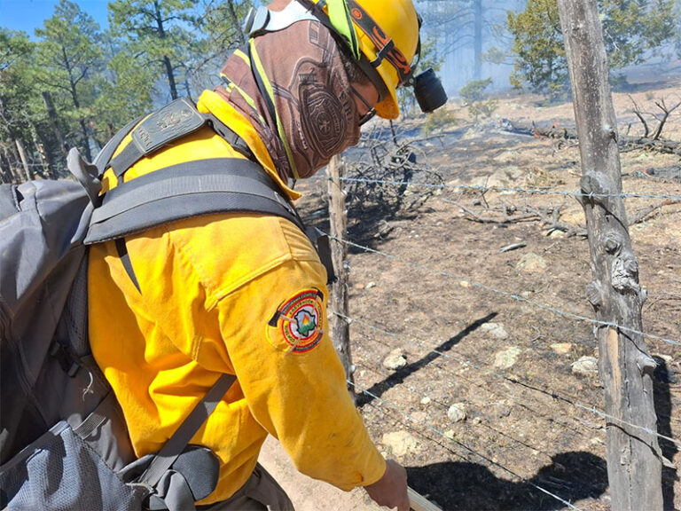 Trabajan 450 combatientes para controlar incendios forestales en ocho municipios