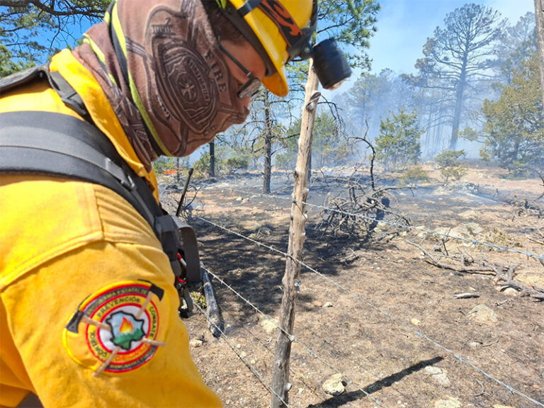 Combaten 164 brigadistas 11 incendios forestales activos en la entidad