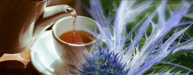 Té medicinal con hierba del sapo