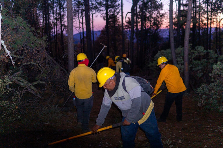 Registra SDR siete incendios forestales activos en el estado