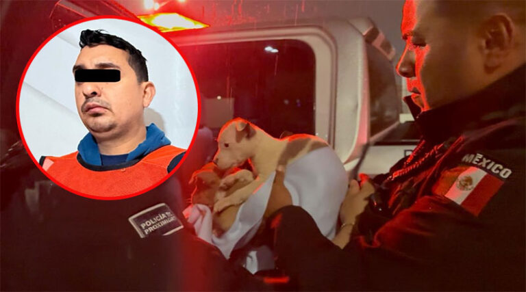 Policías Municipales sorprenden a un sujeto abandonando cuatro cachorros en un lote baldío