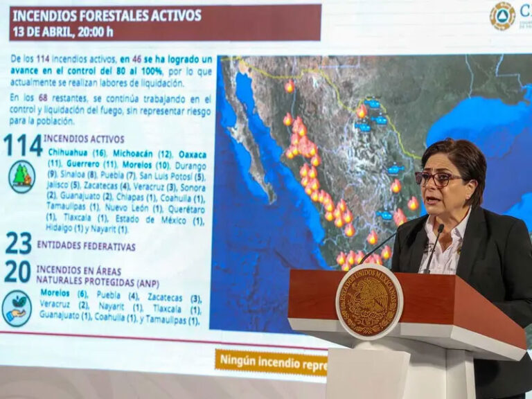 38 mil hectáreas están afectadas por incendios en 23 estados