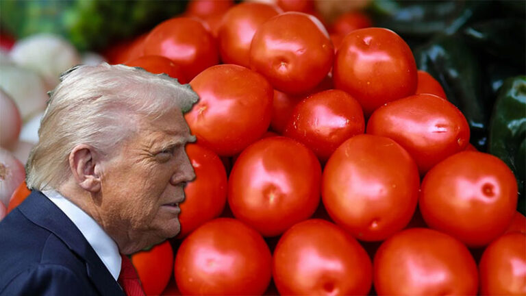 Aranceles al tomate mexicano