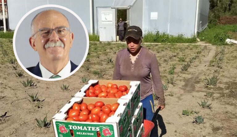 Reaccionan agricultores al 20.91% de cuota al tomate