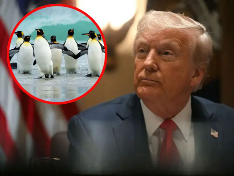 Aranceles alcanzan a focas y pingüinos