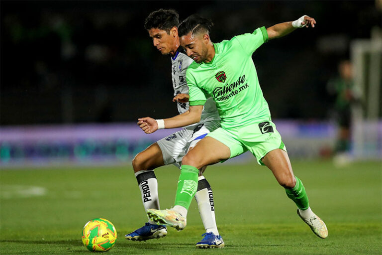 Cantó el Gallo en la frontera