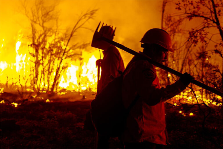 Avanza combate a incendios forestales en Chihuahua