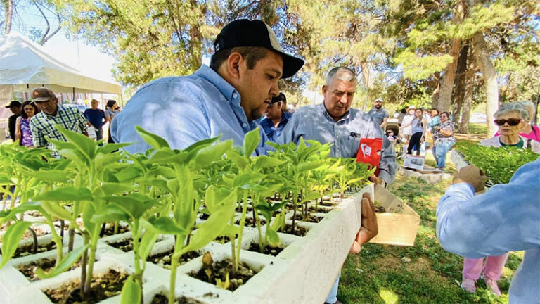 Invita Desarrollo Rural a la entrega de plántulas para huertos caseros