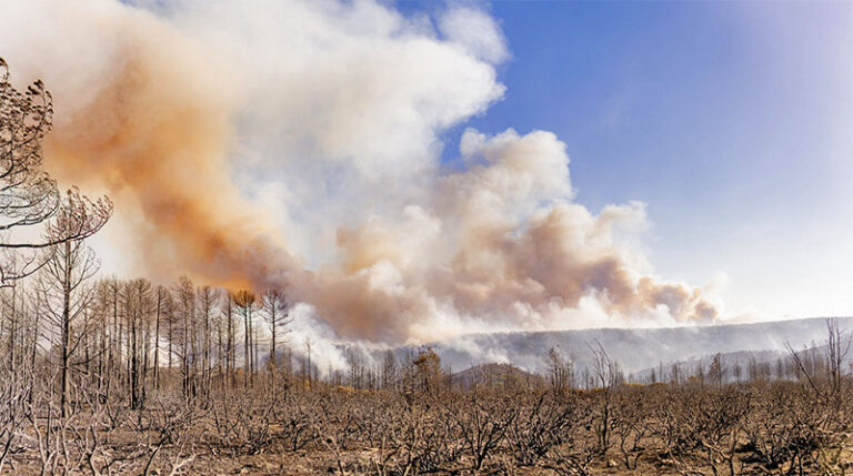 Trabajan más de 440 combatientes en la línea de fuego para liquidar 23 incendios forestales