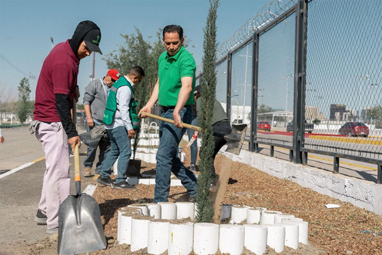 Realizan jornada de forestación en el Parque El Chamizal