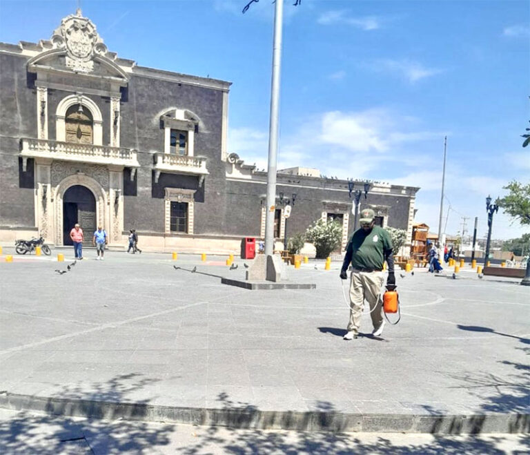 Fumiga Ecología calles del Centro Histórico