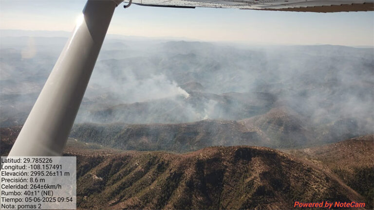 Reporta SDR 11 incendios forestales activos en el estado