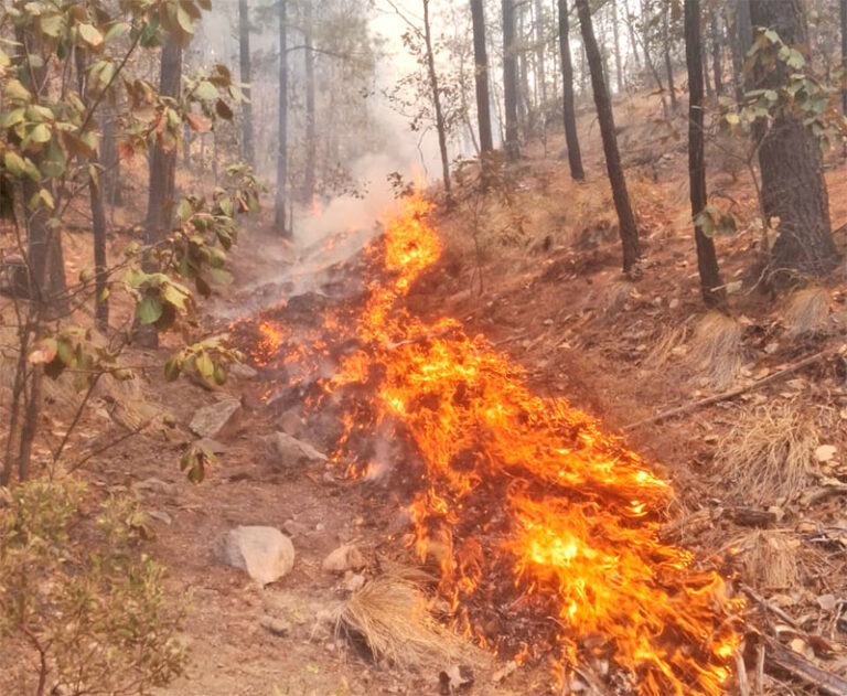 Despliegan a 329 combatientes para contener y mitigar 12 incendios forestales activos