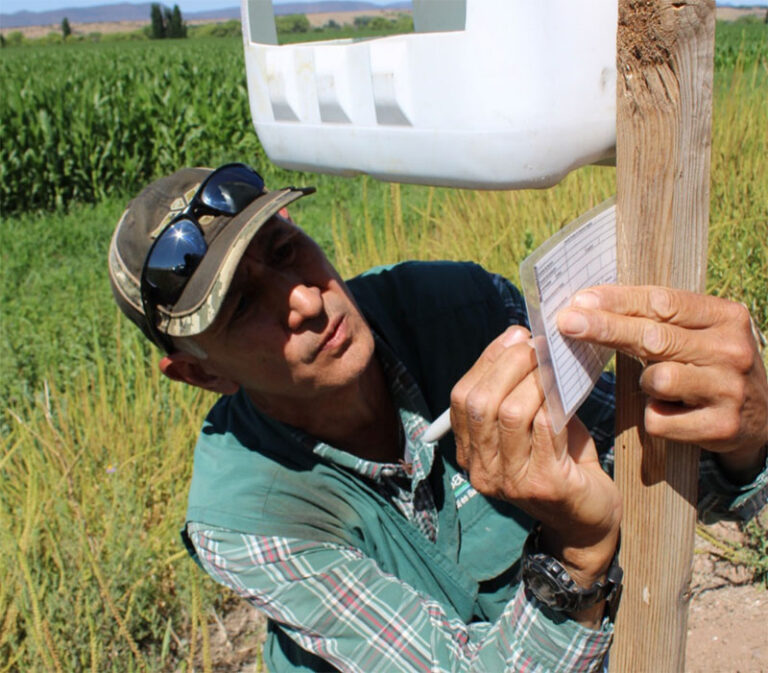 Fortalece Chihuahua la sanidad agropecuaria con inversión conjunta superior a 415 millones de pesos