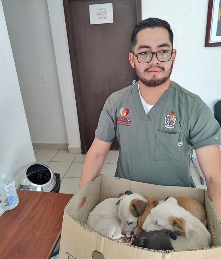 Policías Municipales resguardan a cuatro cachorros abandonados en un lote baldío