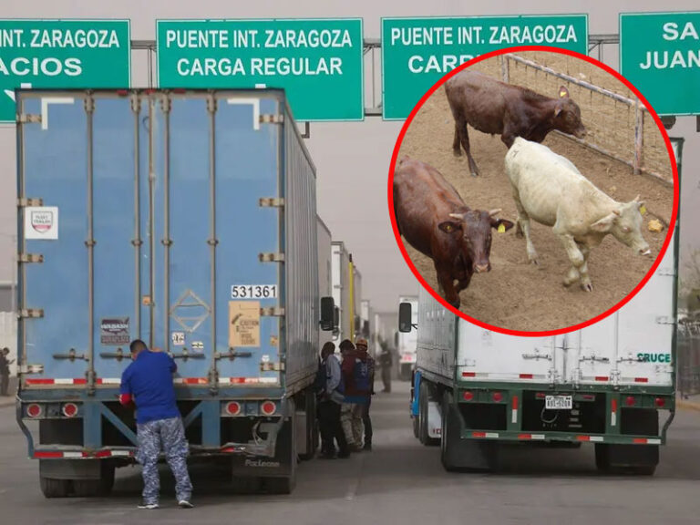 Frontera con EU en negociaciones por gusano barrenador