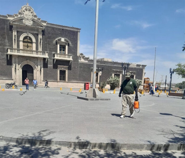 Continúa Ecología fumigando viviendas y escuelas