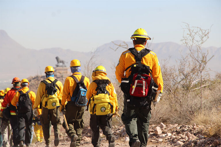 Liquidan brigadistas dos incendios forestales; permanecen ocho activos