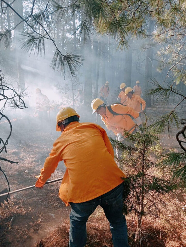 Liquidan brigadistas tres incendios forestales de ayer a hoy