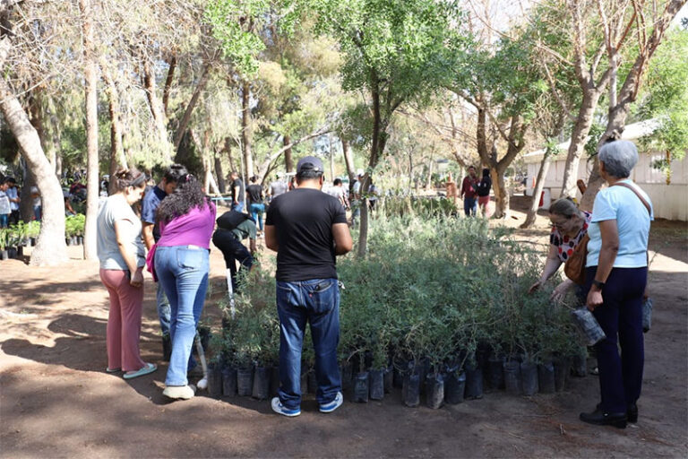 Encabeza Parques y Jardines gran jornada de donación de árboles en el Día Mundial del Árbol