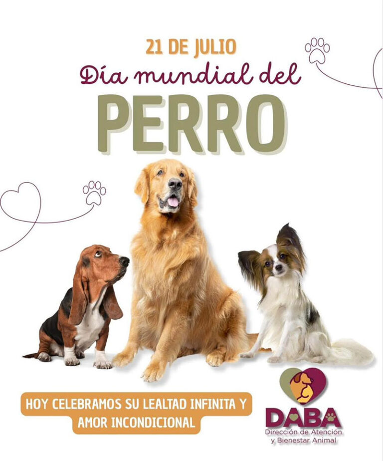 Invita DABA a crear conciencia por los perros