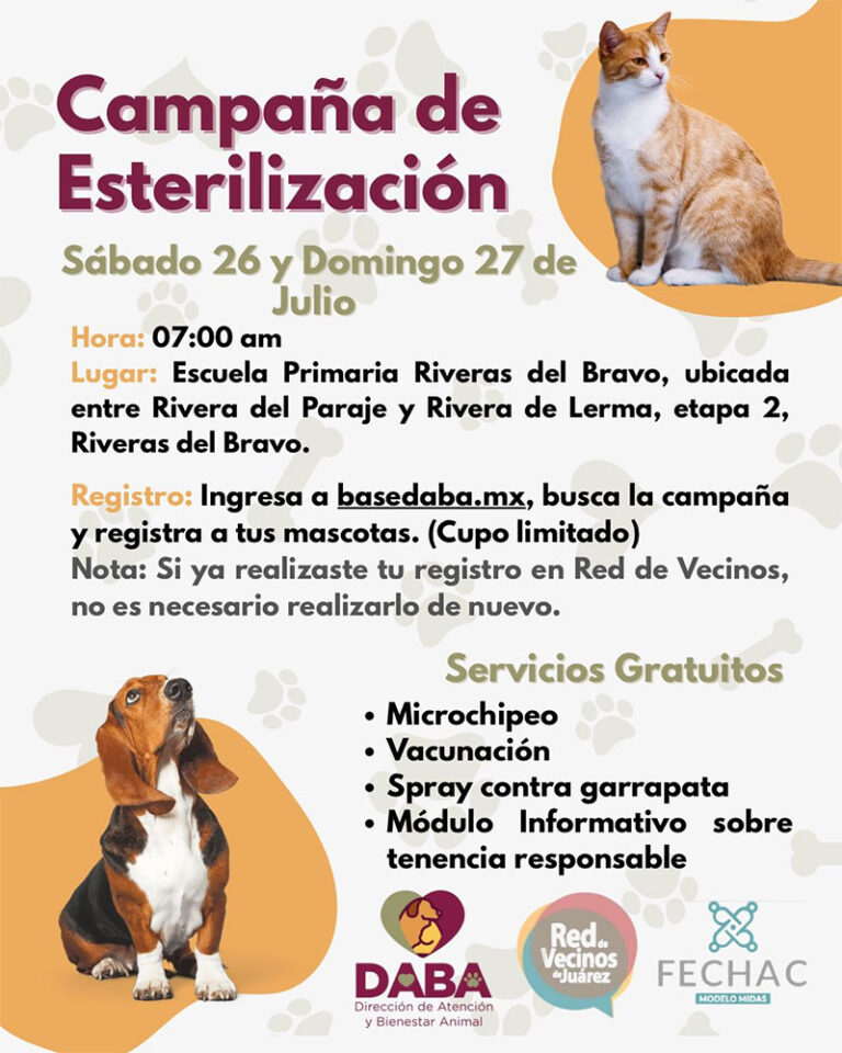Invita DABA a participar en jornada gratuita de esterilización