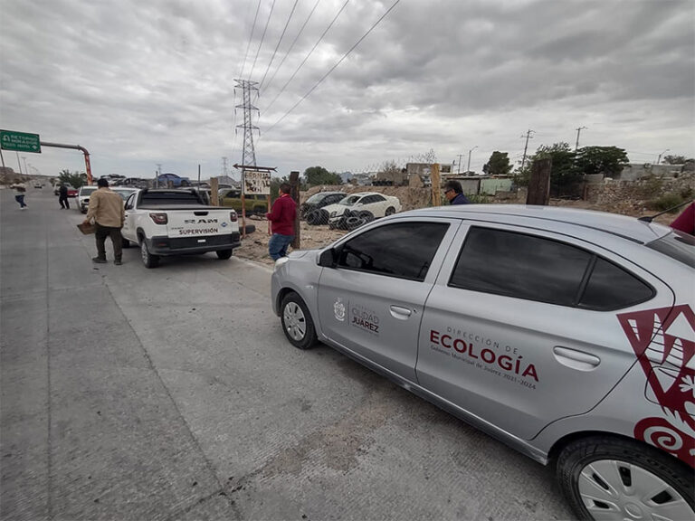 Autoridades intensifican operativos contra yonques en zona de riesgo del Camino Real