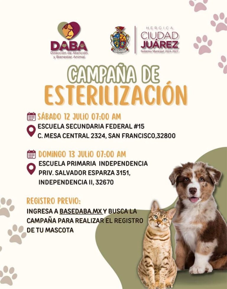 Invita DABA a esterilizar mascotas este fin de semana
