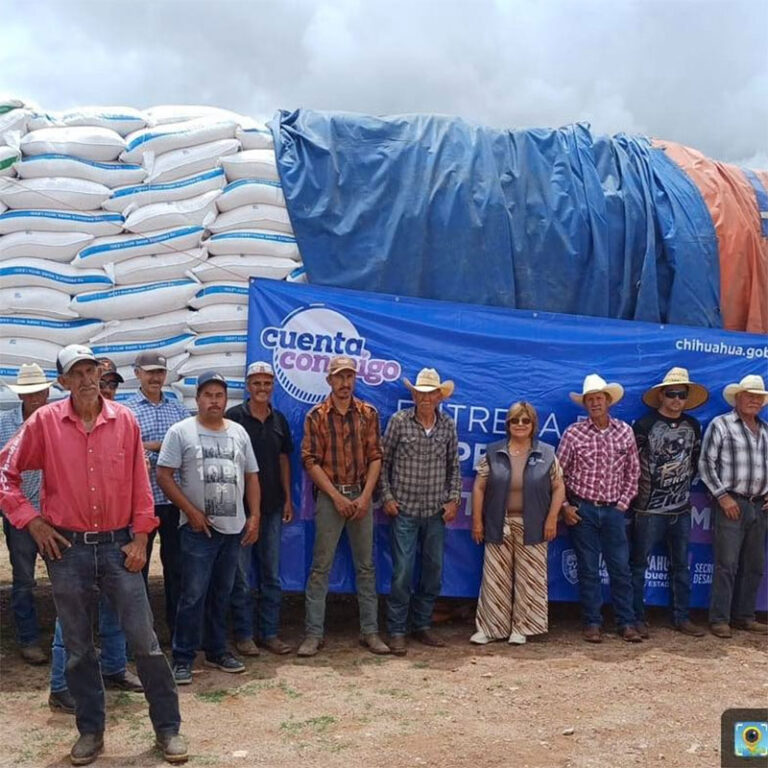 Refuerza Gobierno del Estado estrategias y apoyos para fortalecer al campo