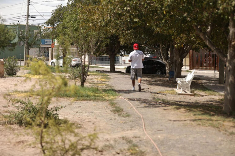 Arranca Obras Públicas rehabilitación de parque Fuente de David