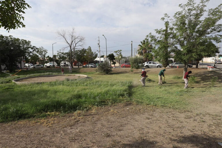 Da mantenimiento Parques y Jardines a áreas verdes de fraccionamiento Nuevo Milenio