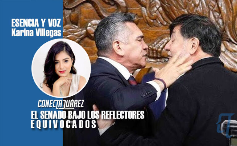 EL SENADO BAJO LOS REFLECTORES EQUIVOCADOS