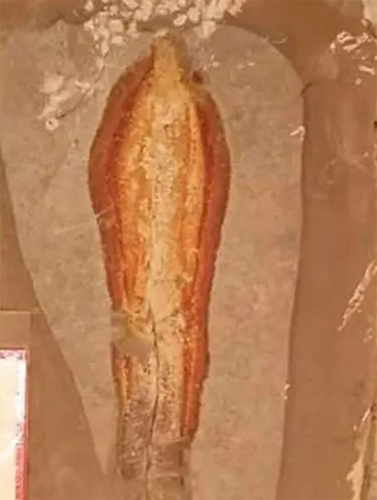 Se les aparece la Virgen en una piedra en Chiapas