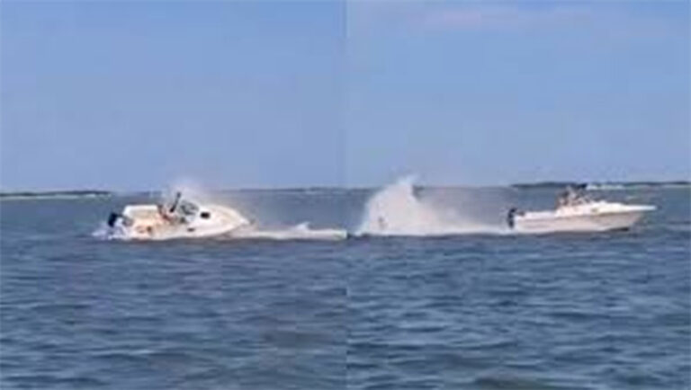 VIDEO: Ballena impacta contra una pequeña embarcación y termina en tragedia