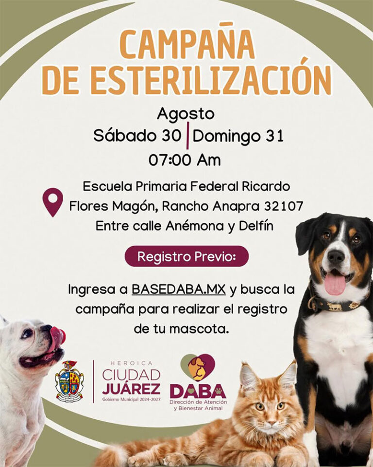 Realizarán este fin de semana campaña de esterilización gratuita