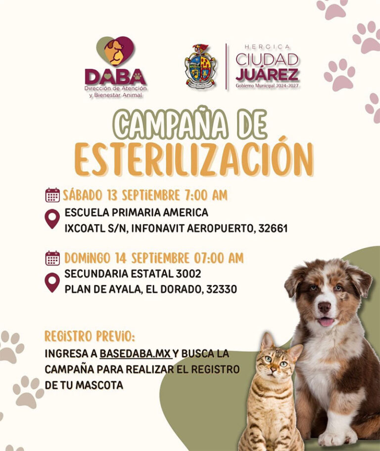 Realizará DABA campaña de esterilización gratuita el próximo fin de semana