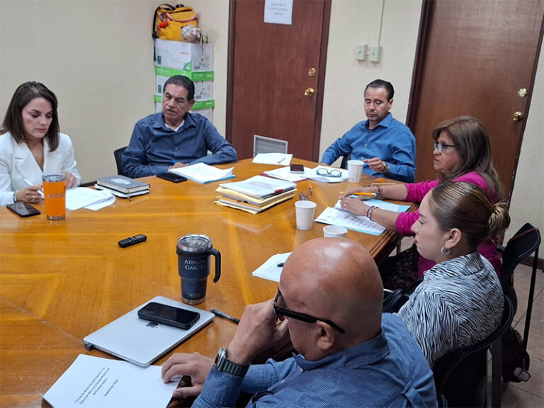 Regidores seleccionan la terna para elegir al Cronista de la Ciudad