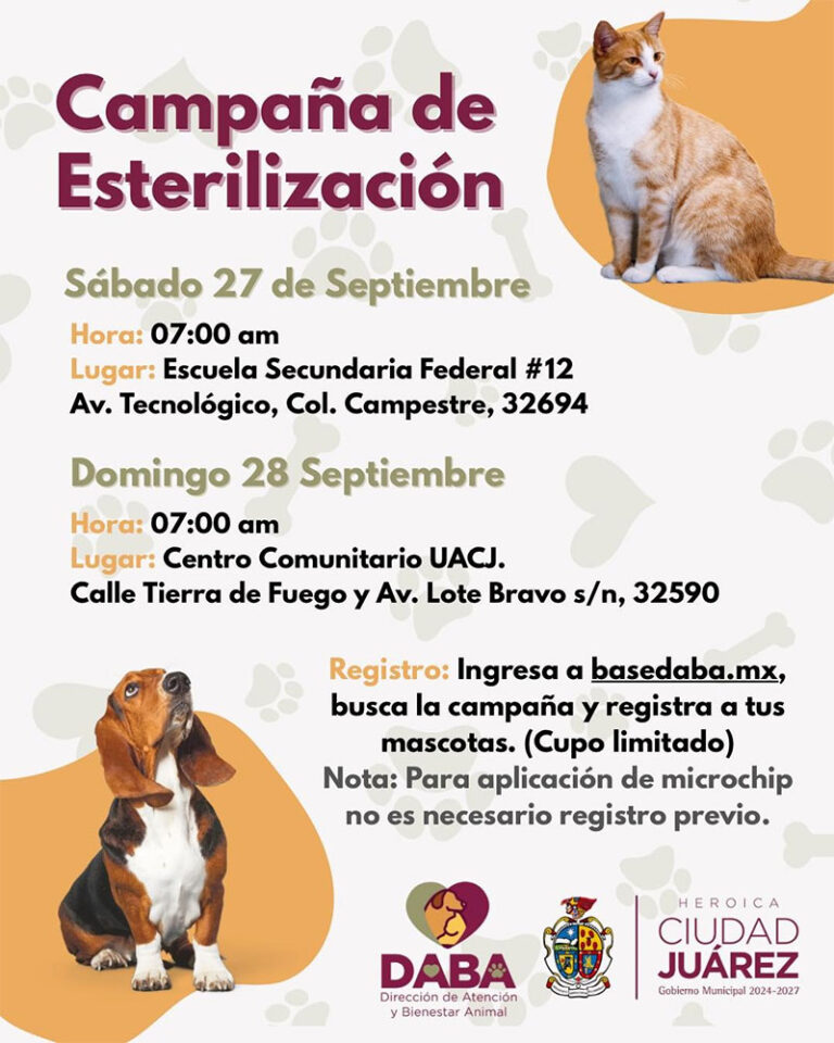 Llevará DABA esterilización gratuita a Centro Comunitario UACJ y a Secundaria Federal 12