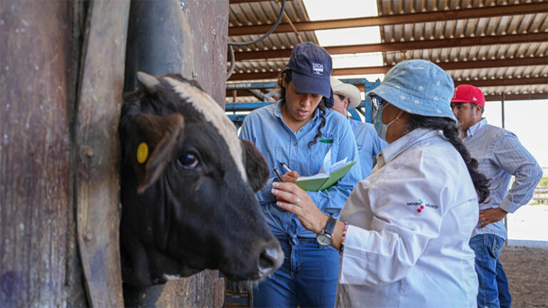 Presenta Chihuahua a USDA avances en estrategia contra el Gusano Barrenador del Ganado