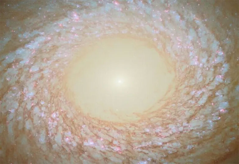 Astrónomos divididos por una galaxia