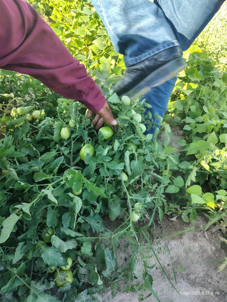 La Dirección de Desarrollo Rural entrega soluciones nutritivas a agricultores de la región