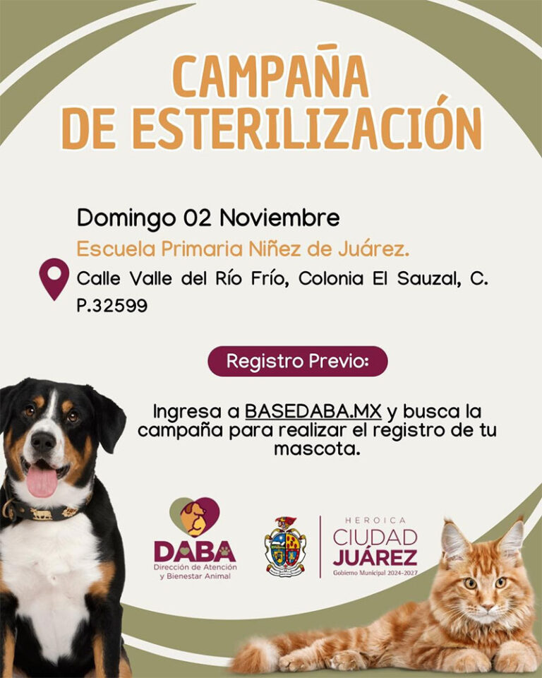 Esterilizará DABA mascotas el próximo domingo